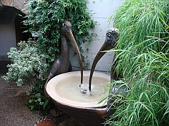 439 Longwood Gardens [2008 August 23]